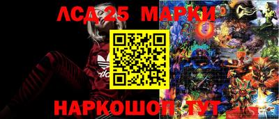 стаф Пенза