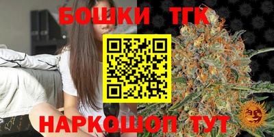 стаф Пенза
